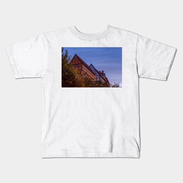 Schlossberg, old town, Quedlinburg; Harz, Saxony-Anhalt; Germany, Europe Kids T-Shirt by Kruegerfoto